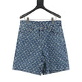 LOUIS VUITTON LV Damier Knit Mesh Logo Shorts